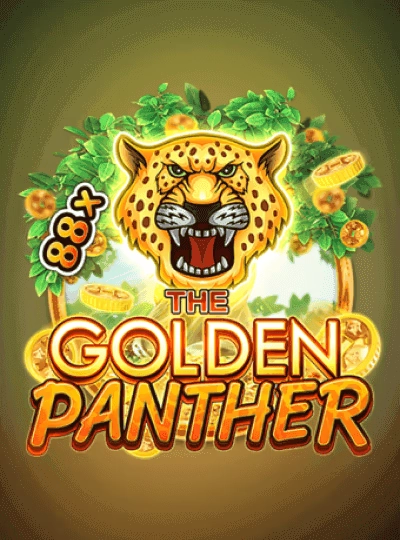 Dragon Tiger live casino cover
